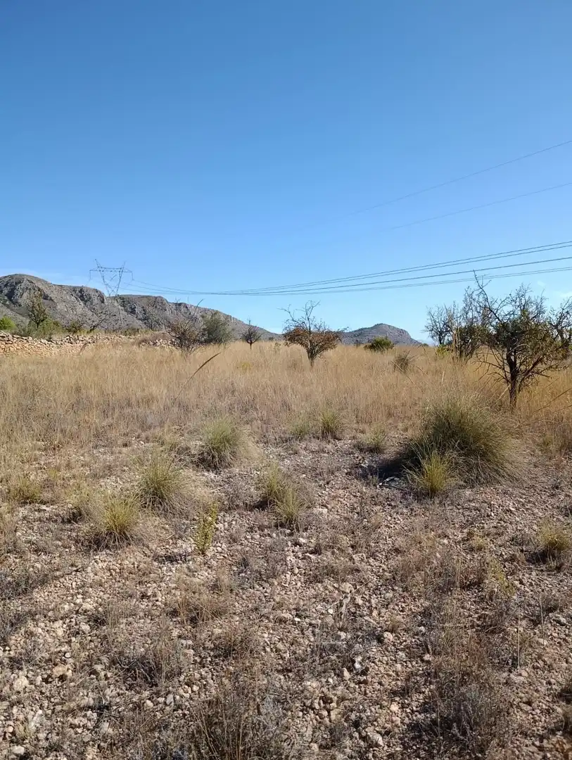 Terreno rustico in vendita a Hondón de las Nieves / El Fondó de les Neus, imagen 38