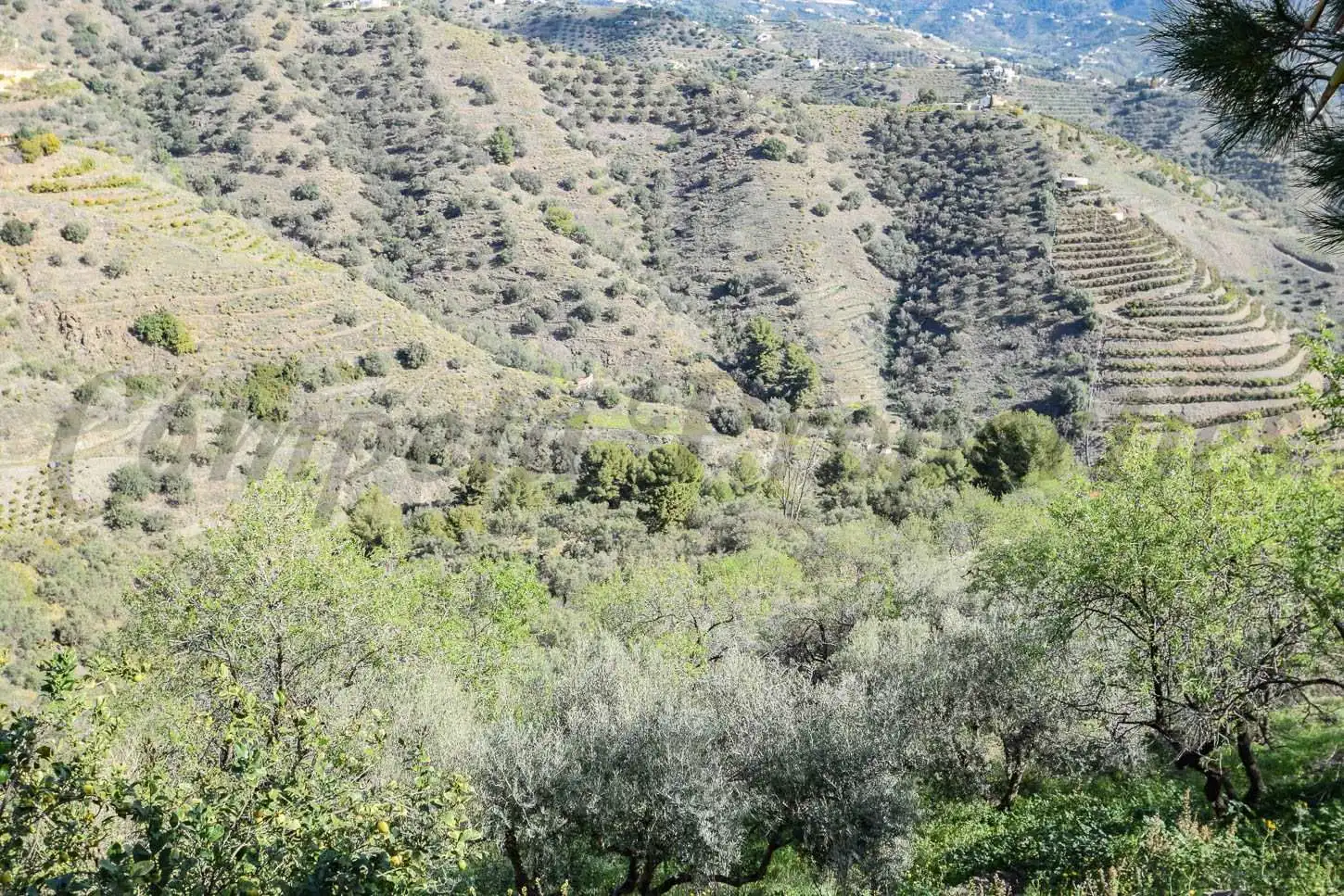 Rustikales Grundstück zum Verkauf in Torrox Pueblo, imagen 6