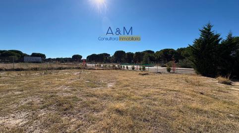 Photo 4 of Premises for sale in Cubera, Aldeamayor de San Martín, Valladolid