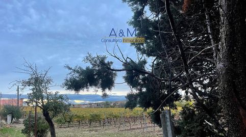 Parcela destinada al viñedo, con casa, en venta en Rueda. Pozo de agua legalizado., immagine 2
