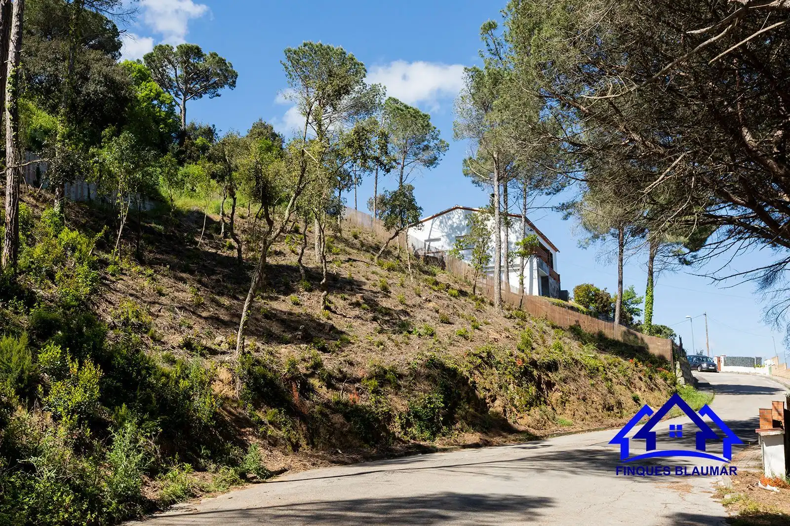Lands and plots for sale in Vallgorguina, imagen 5