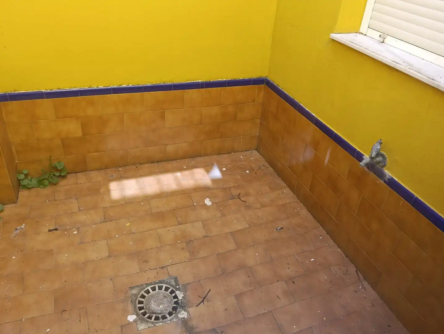 Badezimmer von Wohnung zum Verkauf in Villaverde del Río mit Terrasse und Balkon