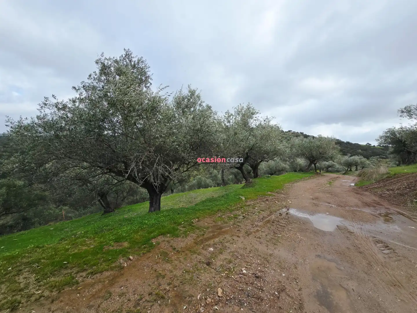 Casa rústica en venta en Pozoblanco, imagen 29