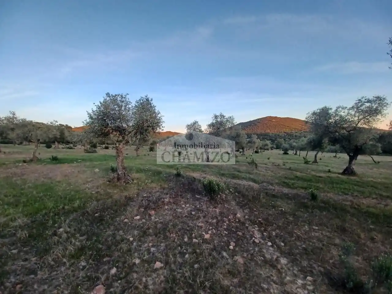 Grundstücke zum Verkauf in Peraleda del Zaucejo