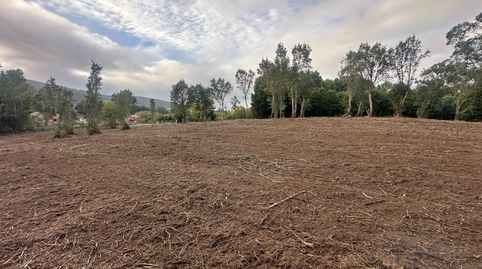 alquilo gran terreno soleado, immagine 4