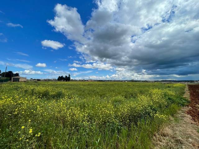 Terreno residencial en Venta en Sa Pobla