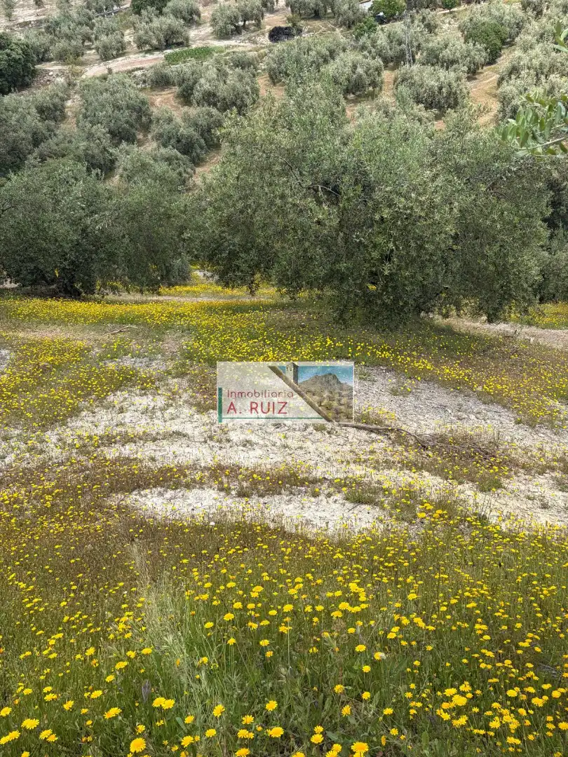 Rural land for sale in Iznájar, imagen 10