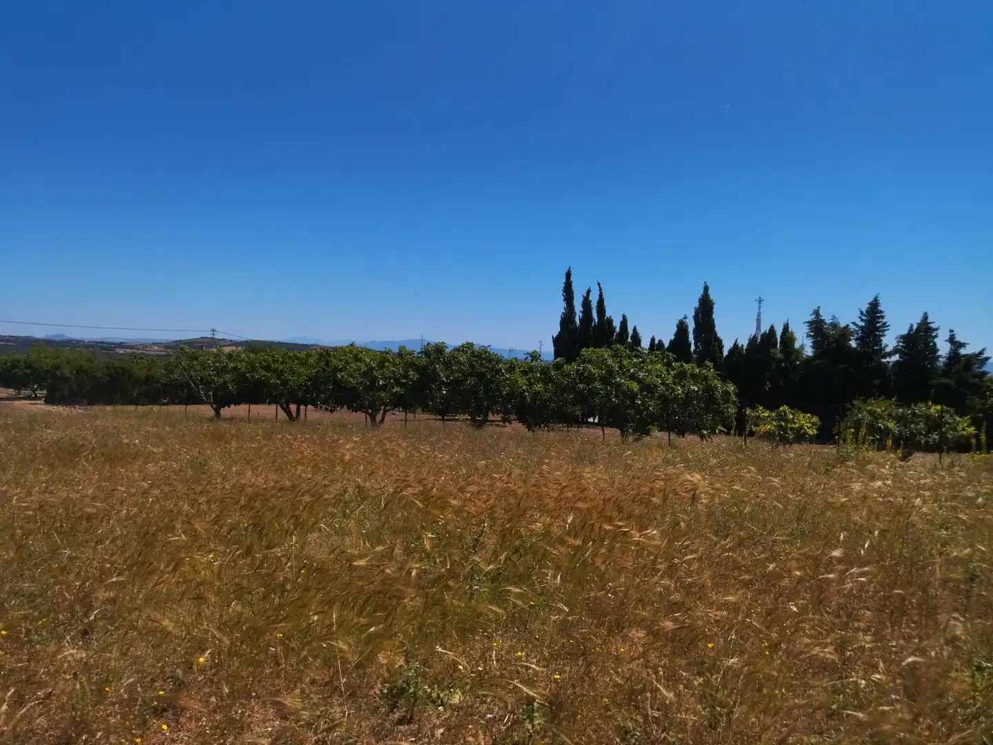 Casa rustica con giardino in vendita a Vejer, imagen 14