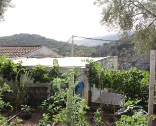 Jardí de Casa o xalet en venda en Benaoján