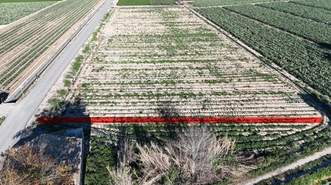 Foto 3 de Finca rústica en venta en Dolores, Alicante