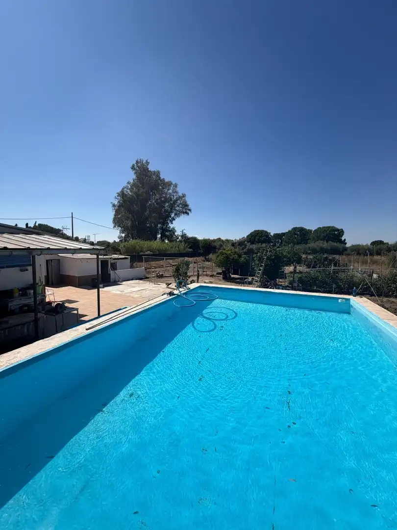 Piscina de Finca rústica en venta en Utrera