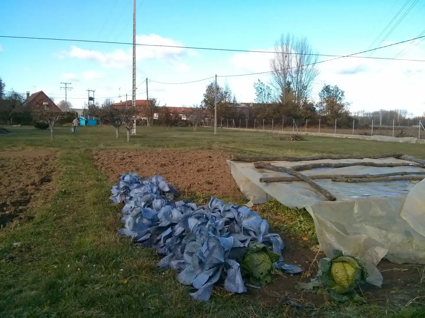 Terreni e lotti in vendita a Villaquilambre, imagen 4