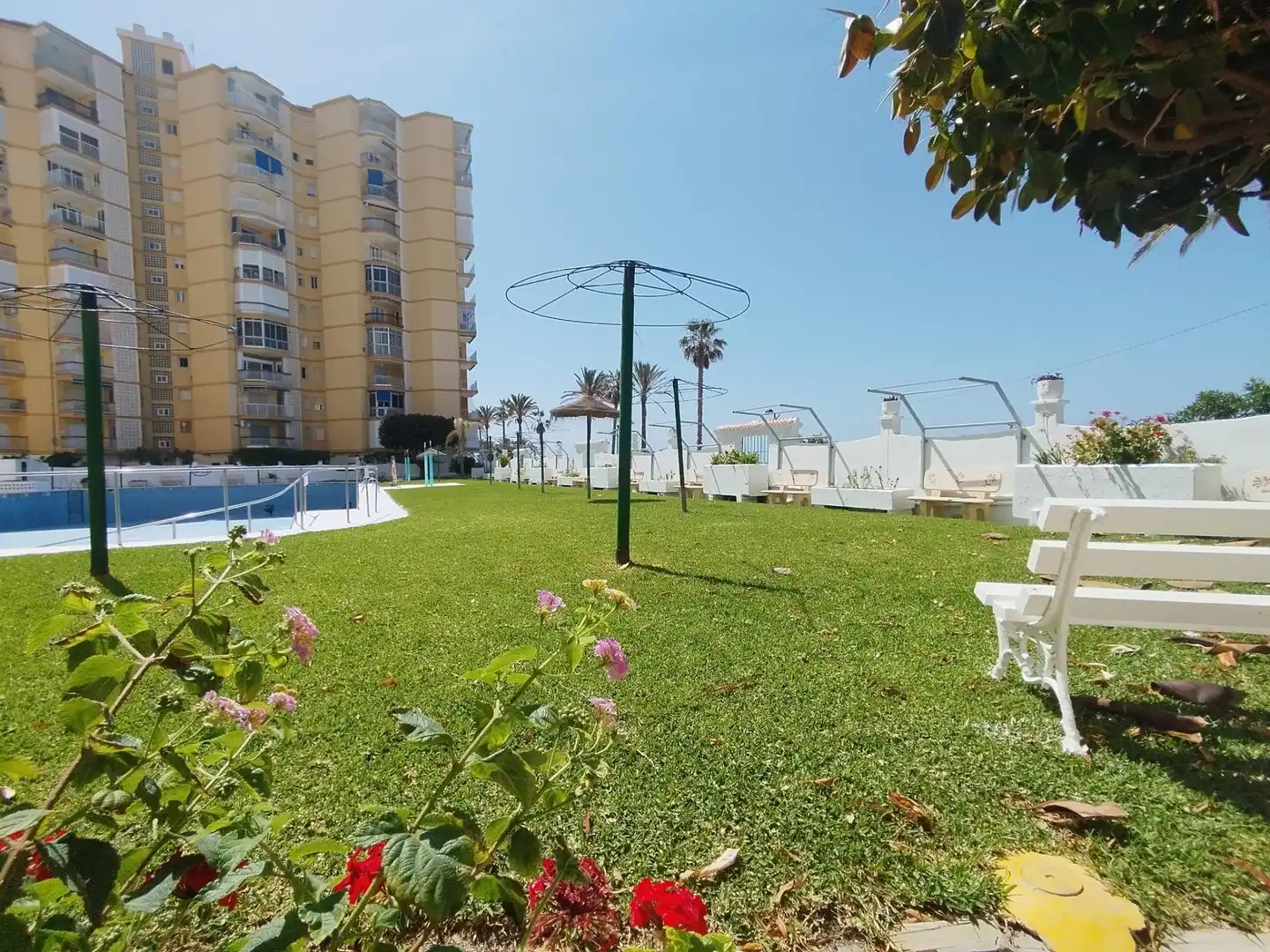 Piscina de Apartamento de alquiler en Torrenueva Costa con Jardín privado, Terraza y Amueblado