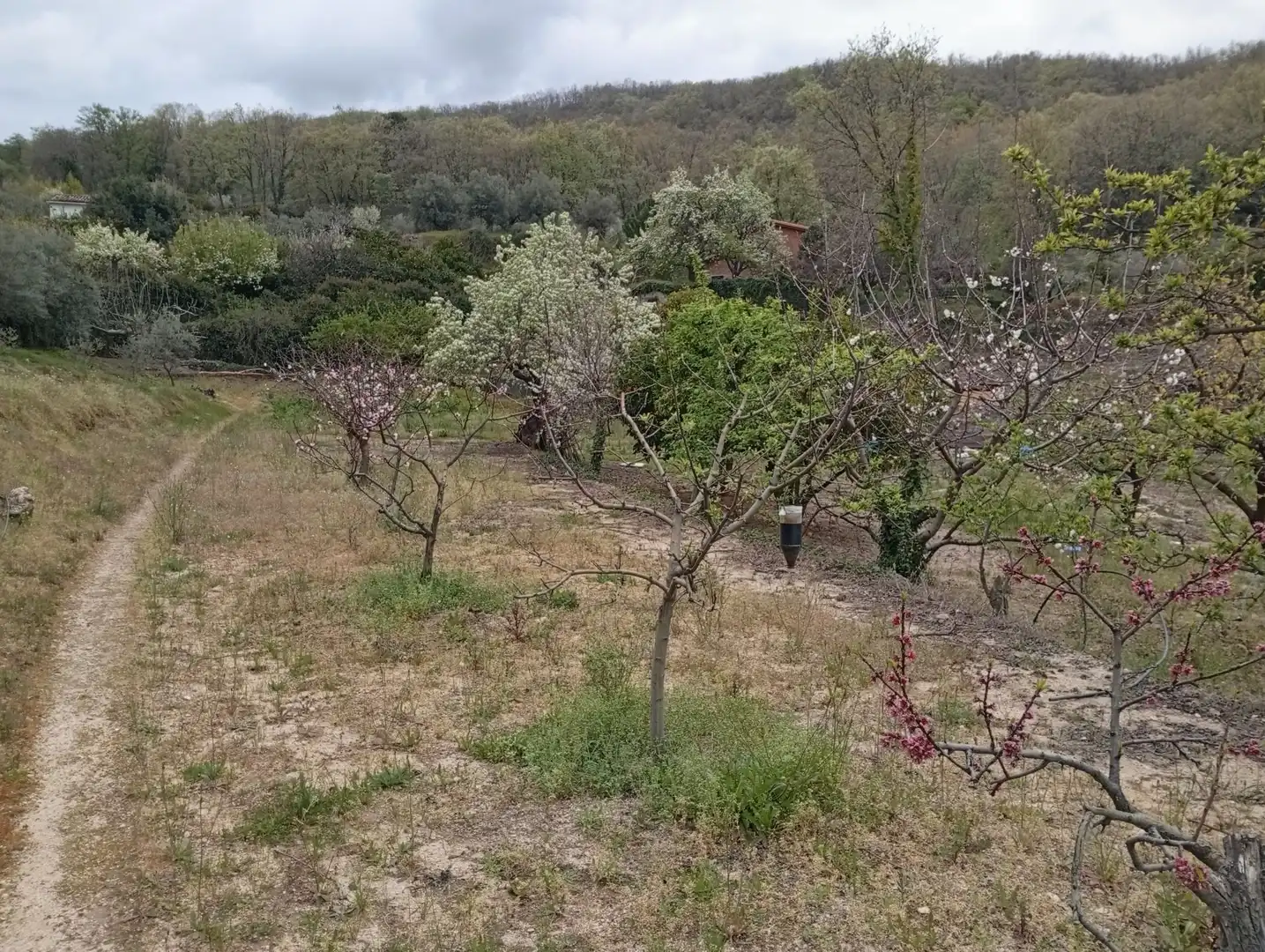 Terreni e lotti in vendita a Villanueva de la Vera, imagen 54