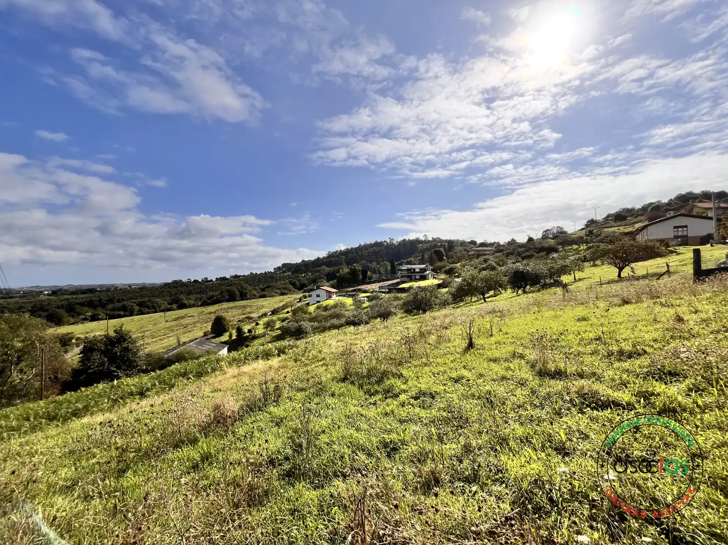 Terreny residencial en venda a Peón - Coto de la Castañera, Curviellu S/N, imagen 31