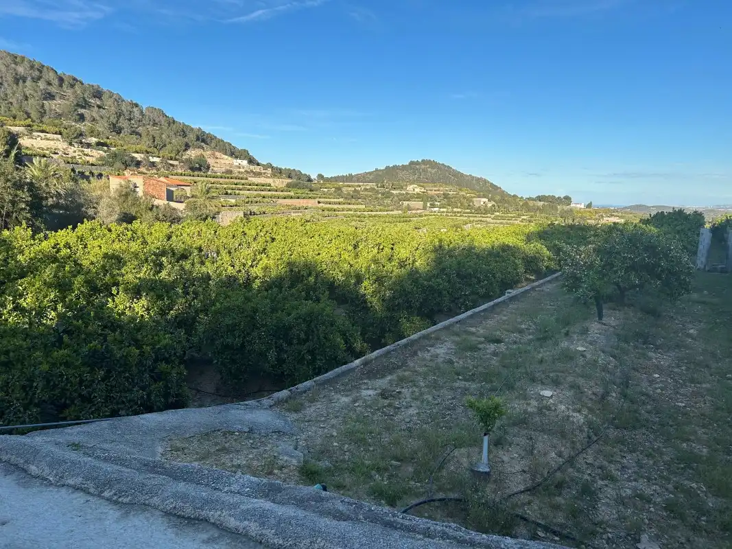 Finca rústica en venda en Oliva amb Moblat