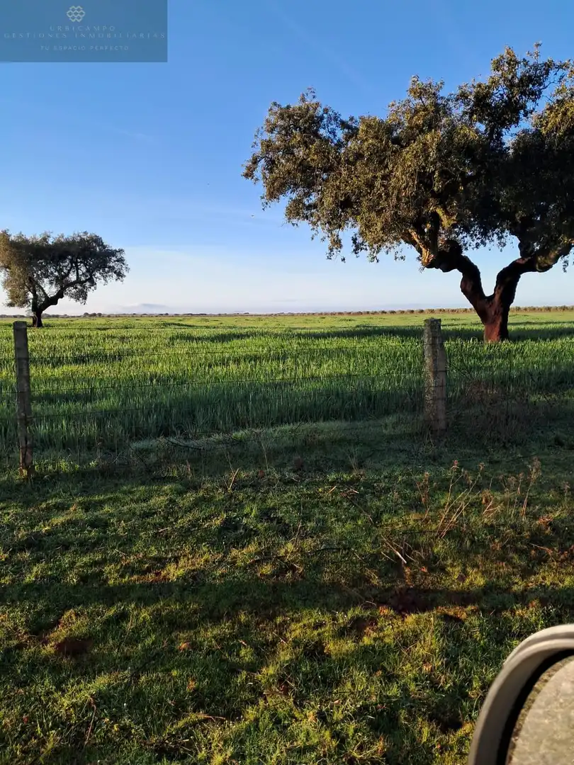 Country homes for sale in Mérida