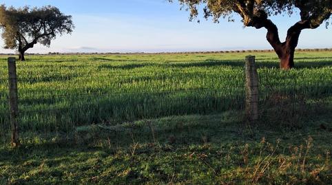 Foto 4 de Finca rústica en venda a Norte, Badajoz