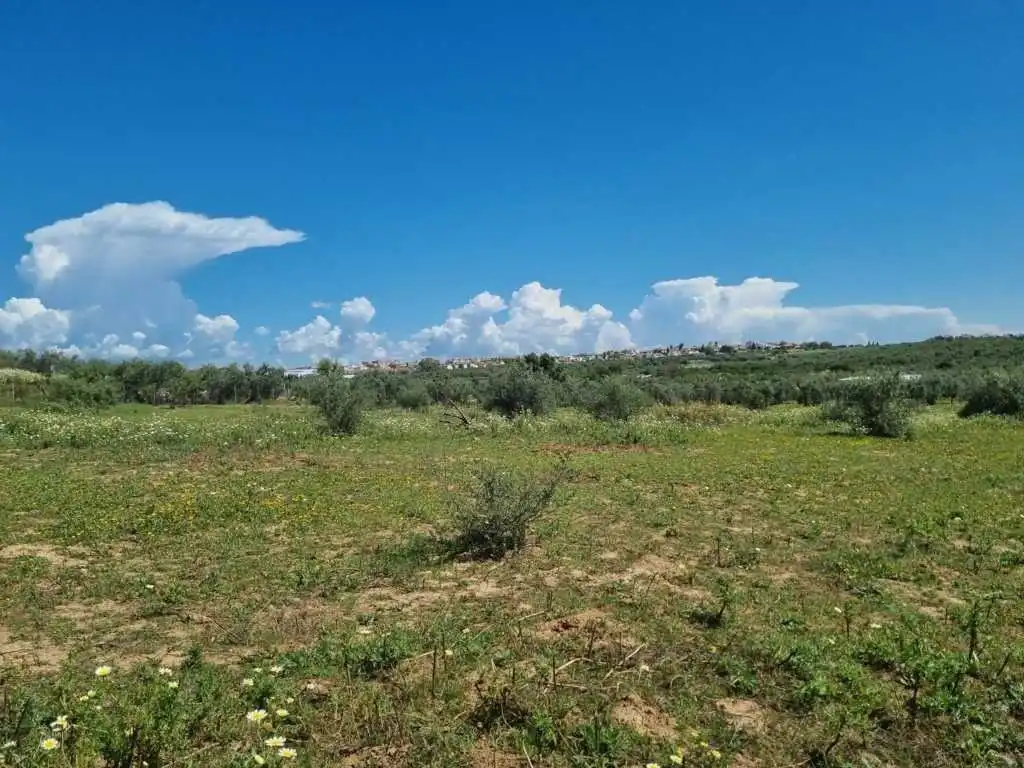 Terreni e lotti in vendita a Centro, imagen 4