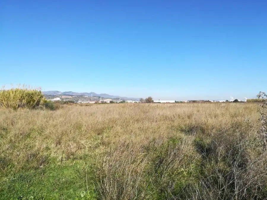 Terreny residencial en venda a Suelo Polígono 5 Parcela, imagen 3