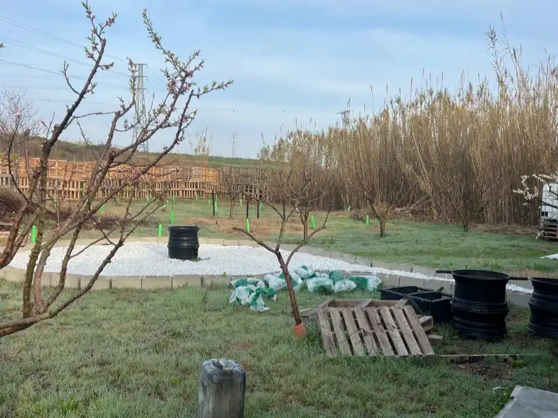 Terreno en venta en Figueruelas