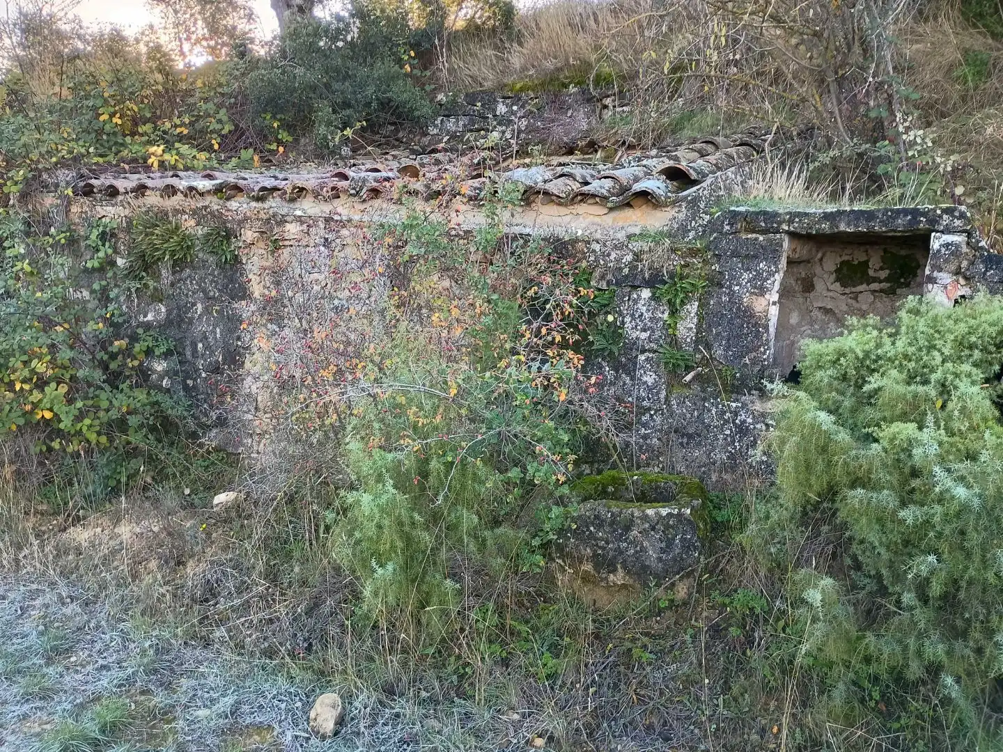 Vista exterior de Terreno en venta en Cervià de Les Garrigues