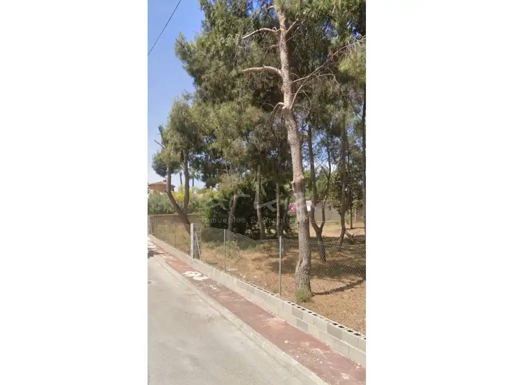 Terreno residenziale in vendita a La Conarda - Montesano, imagen 6