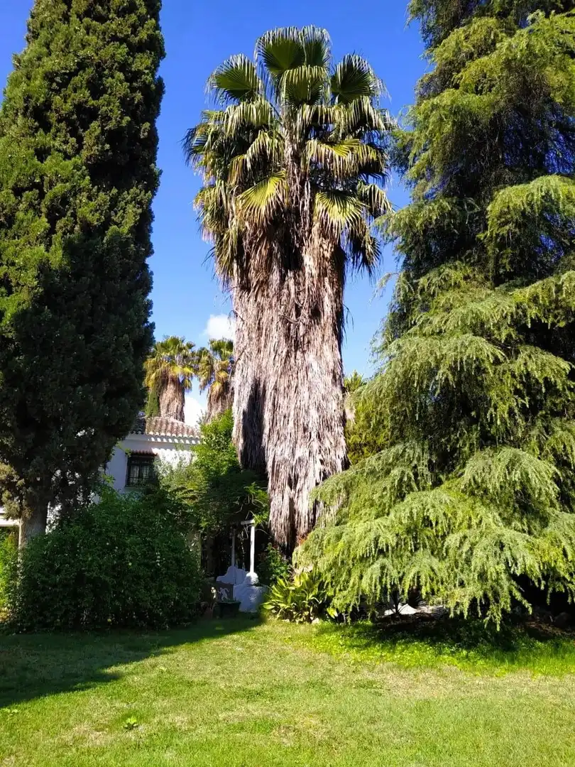 Casa con piscina in vendita a Loja, imagen 28