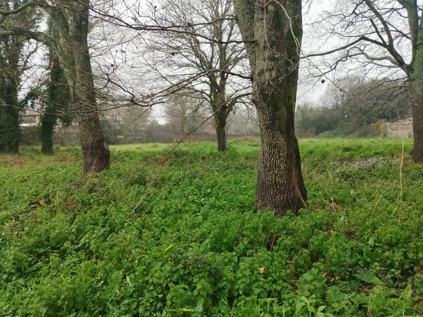 Terreno en venta en Tomiño