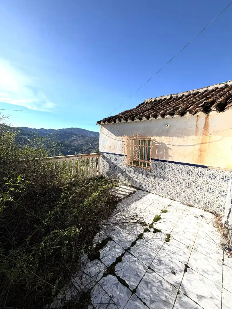 Vista exterior de Casa o chalet en venta en Colmenar con Jardín privado
