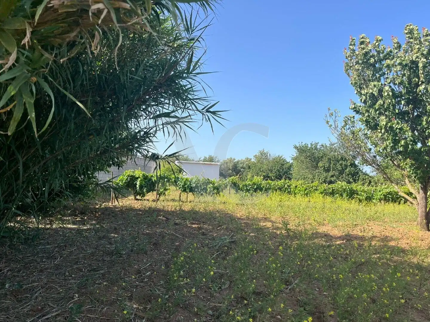 Residential zum Verkauf in Chiclana de la Frontera