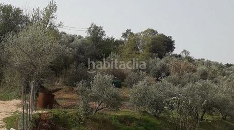 Finca en venta orcera(jaén), immagine 2