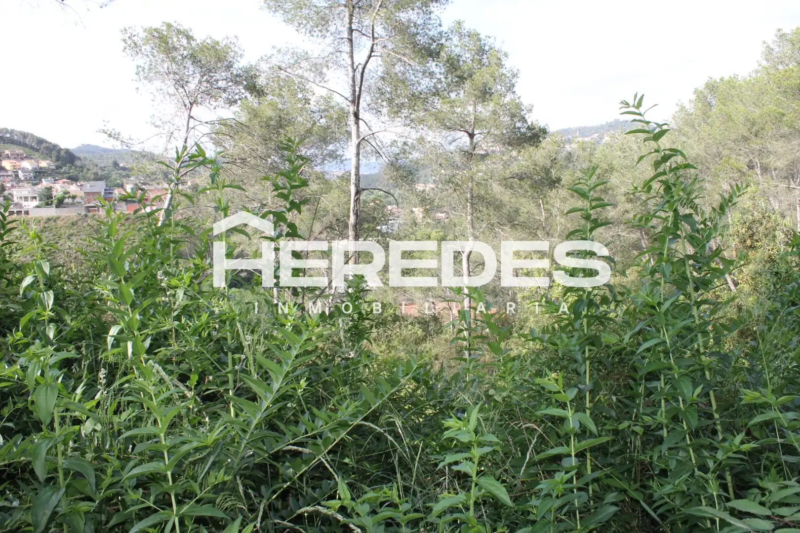 Terreno residencial en venta en Carrer Ronda del Moli 15, imagen 11