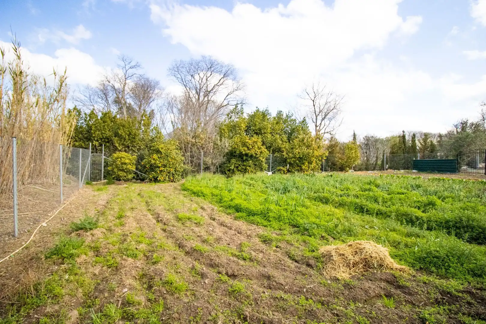 Terreno en venta en Sant Climent Sescebes