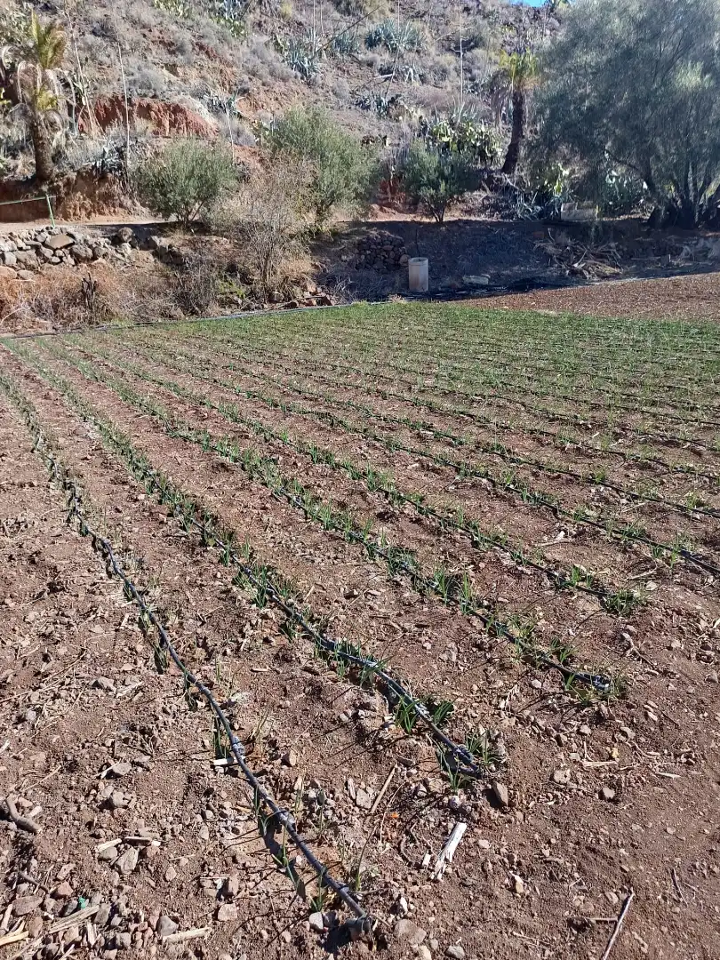 Casa o xalet en venda en Santa Lucía de Tirajana amb Calefacció, Jardí privat i Rentadora
