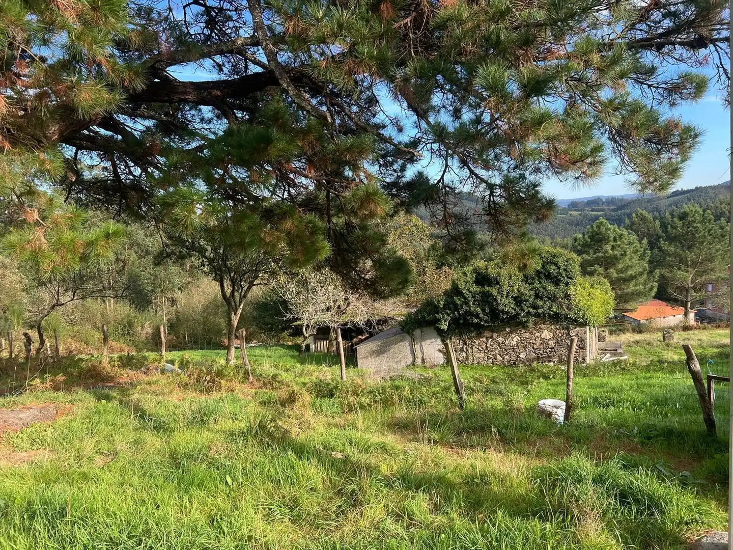 Casa rústica en venta en Lugar Silvalonga, imagen 17