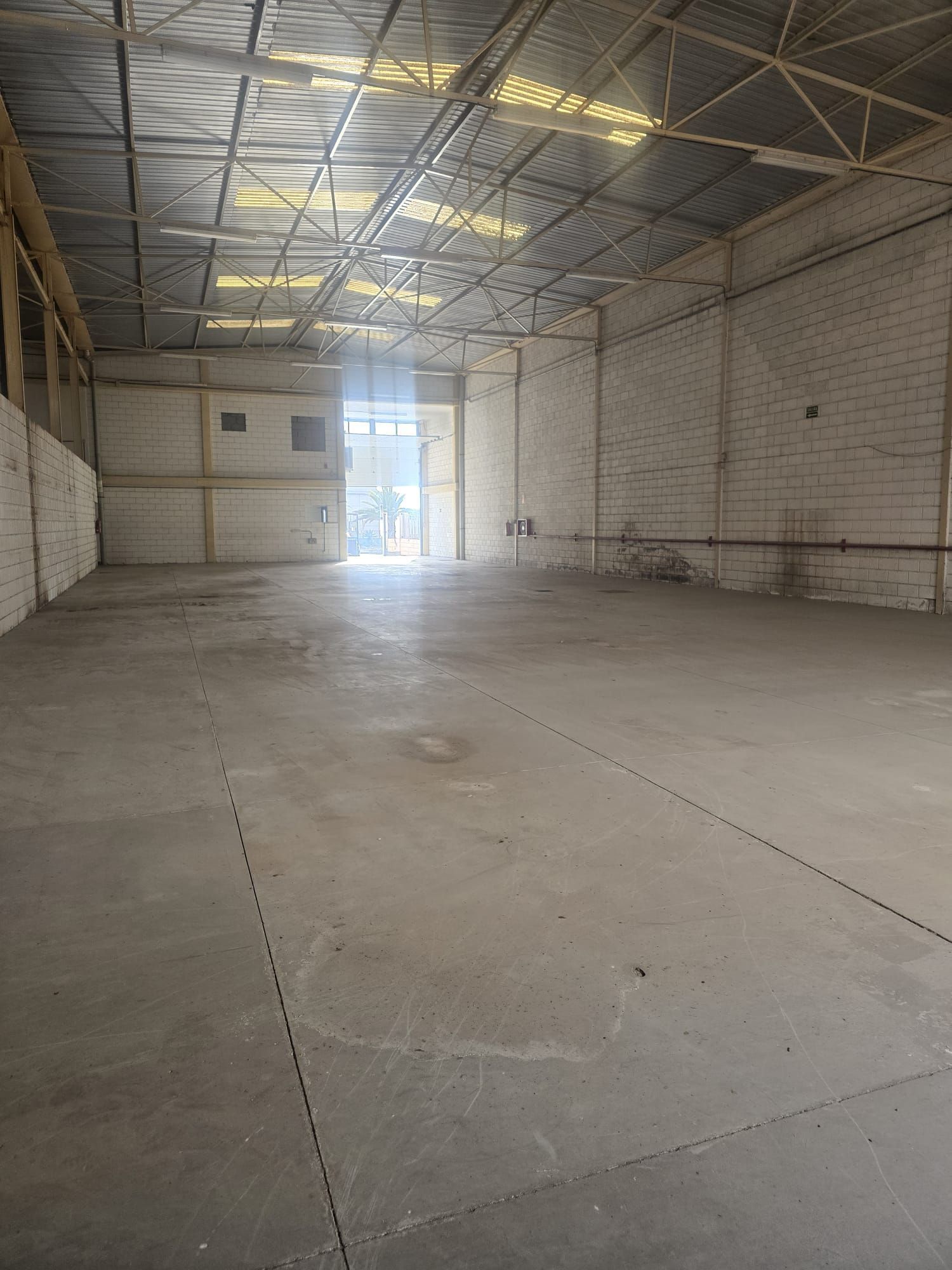Nau industrial de lloguer en Arafo