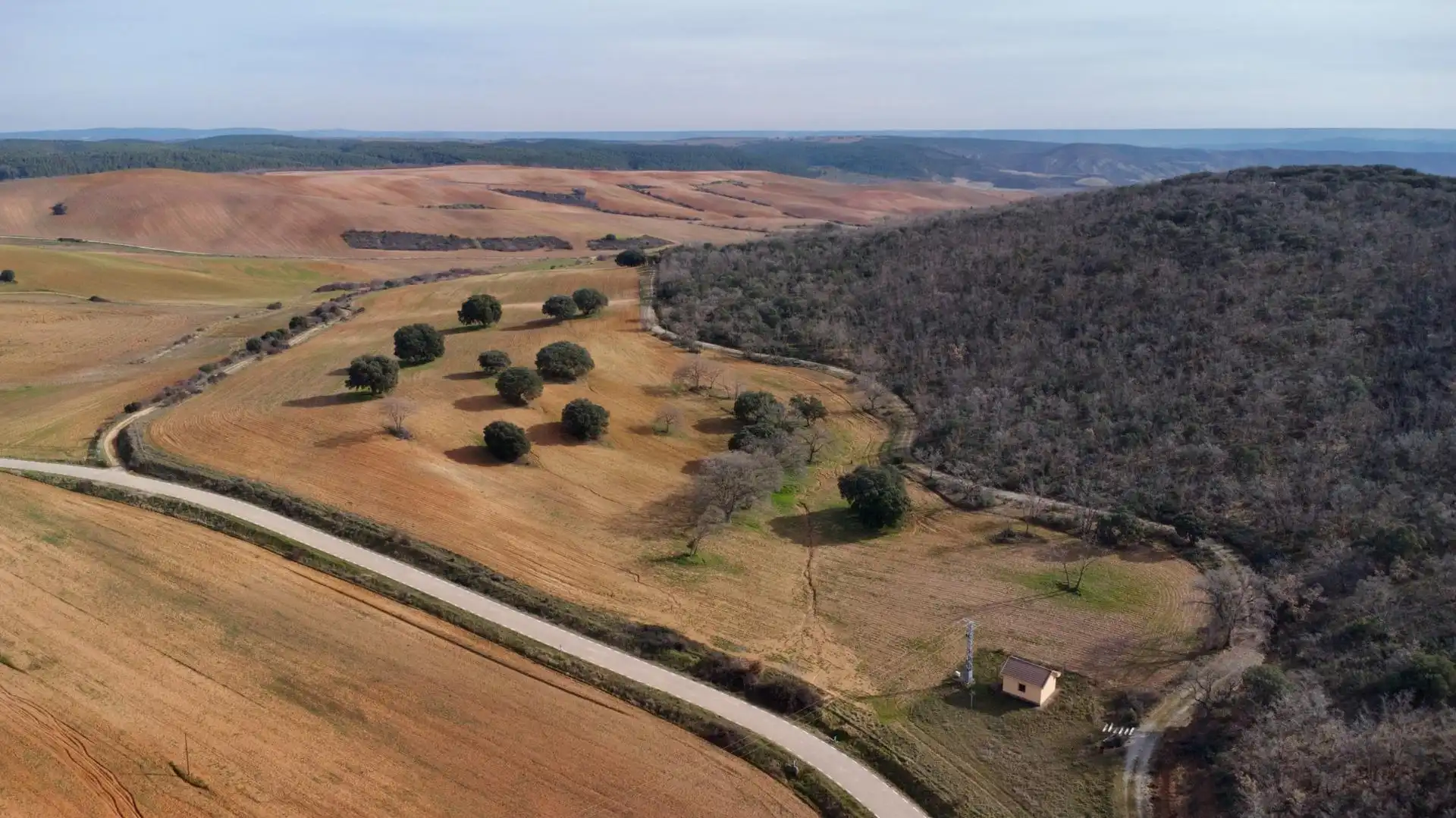 Land for sale in Arbancón