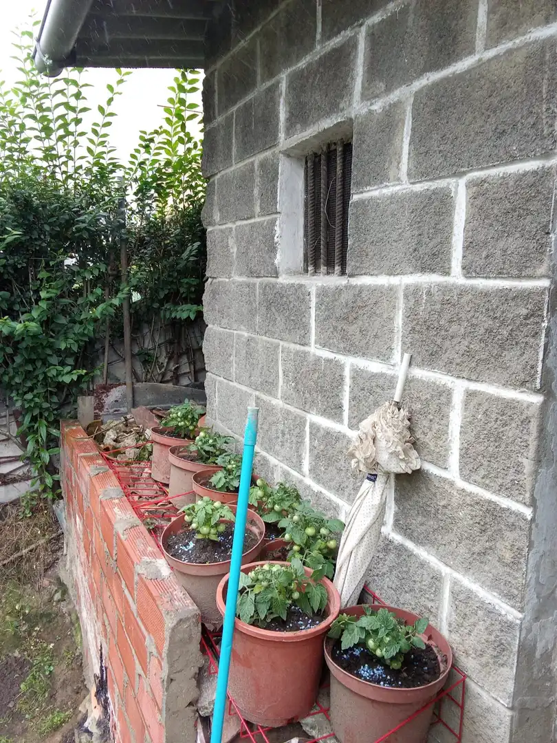 Terreno residencial en venta en Cuesta JARROTA, imagen 6