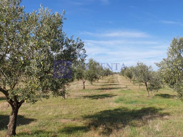 Casa-chalet en Venta en Aliseda