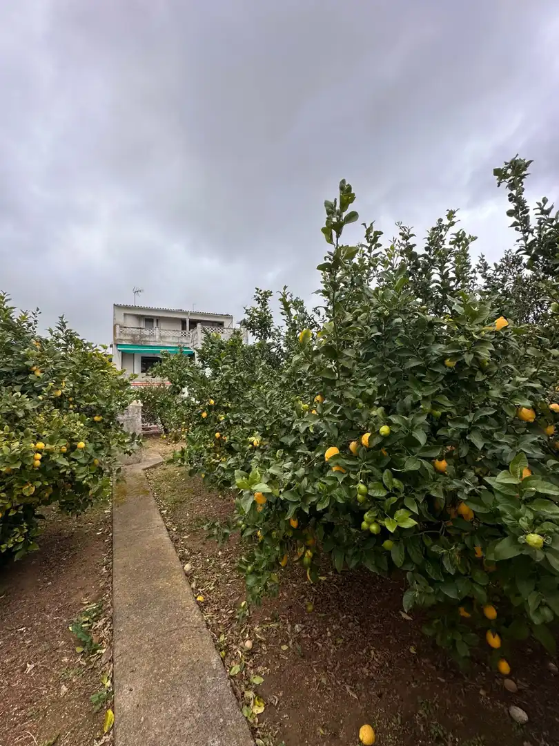 Casa adosada en venda en Felanitx amb Calefacció i Jardí privat