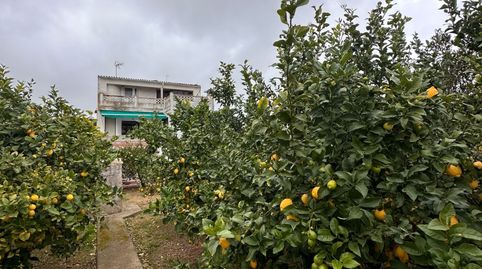 Foto 5 de Casa adosada en venda a Felanitx - Carrer Den Pelat, Felanitx Poble, Felanitx