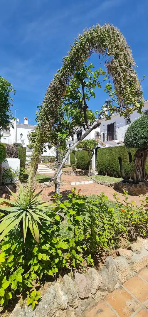 Piso en venta en Calle Bermeja 20, imagen 43