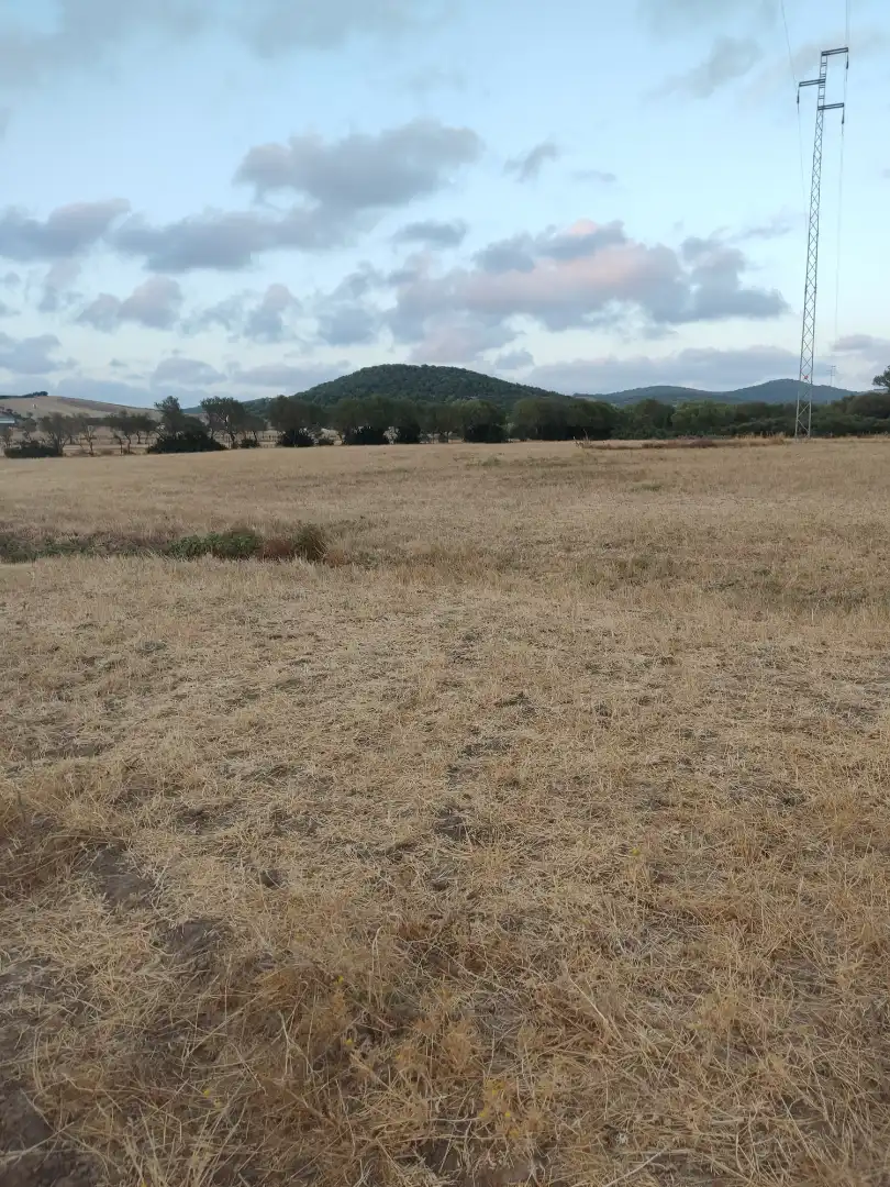 Land for sale in Vejer de la Frontera