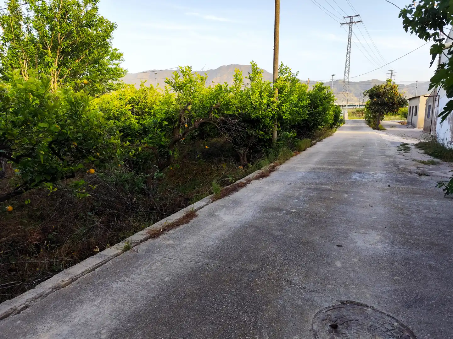 Terrenys i solars en venda a Camino Viejo de Orihuela 12, imagen 5