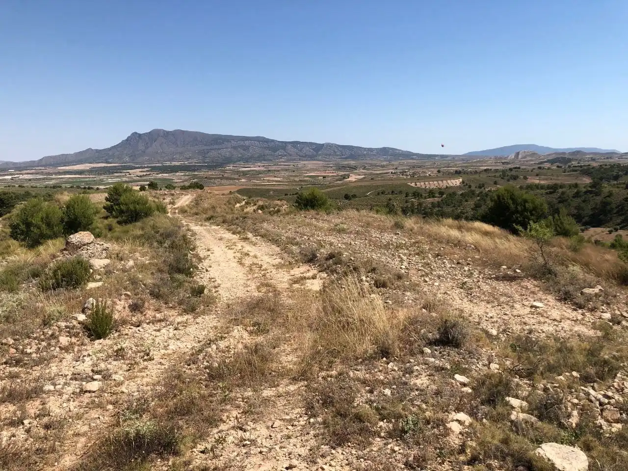 Lands and plots for sale in Abanilla, imagen 2