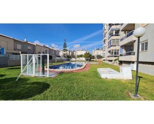 Piscina de Casa o xalet en venda en Torrevieja amb Jardí privat i Piscina