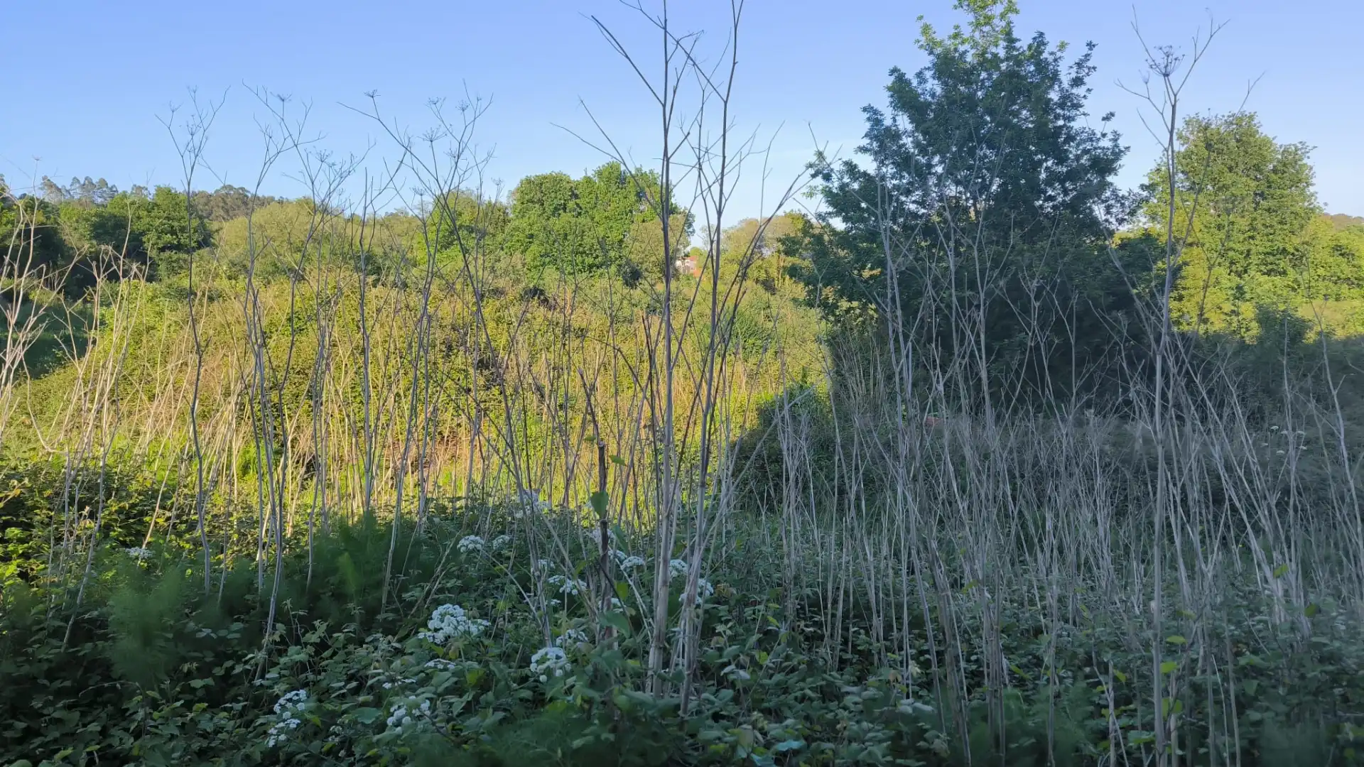 Terreni e lotti in vendita a Travesía de Cacheiras, imagen 7