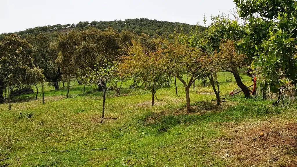 Terrenos y solares en venta en Extramuros Diseminados 5, imagen 58