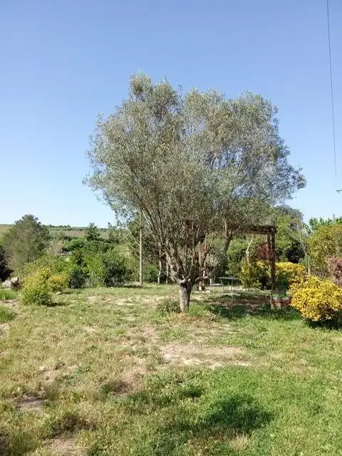 Casa o xalet en venda en Sant Llorenç d'Hortons amb Calefacció, Jardí privat i Terrassa